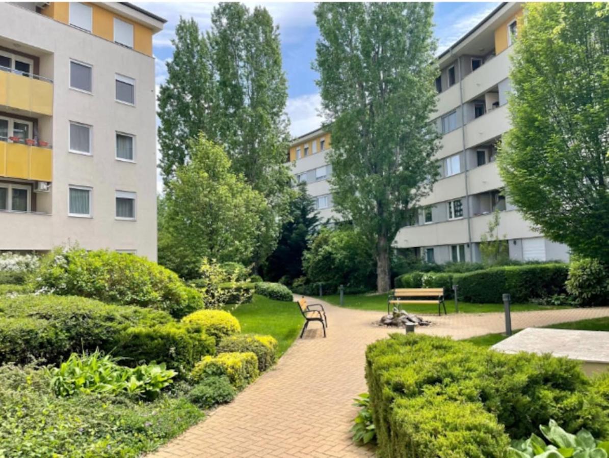 Apartament Viva - Cosy Flat In - Free Parking