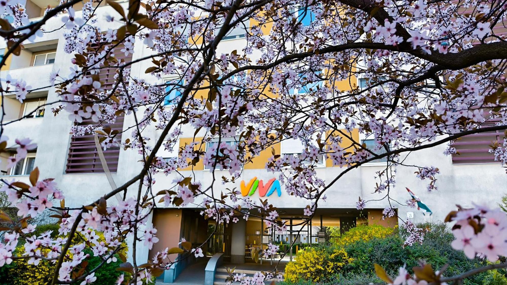 Viva - Cosy Flat In - Free Parking Apartament Budapeszt